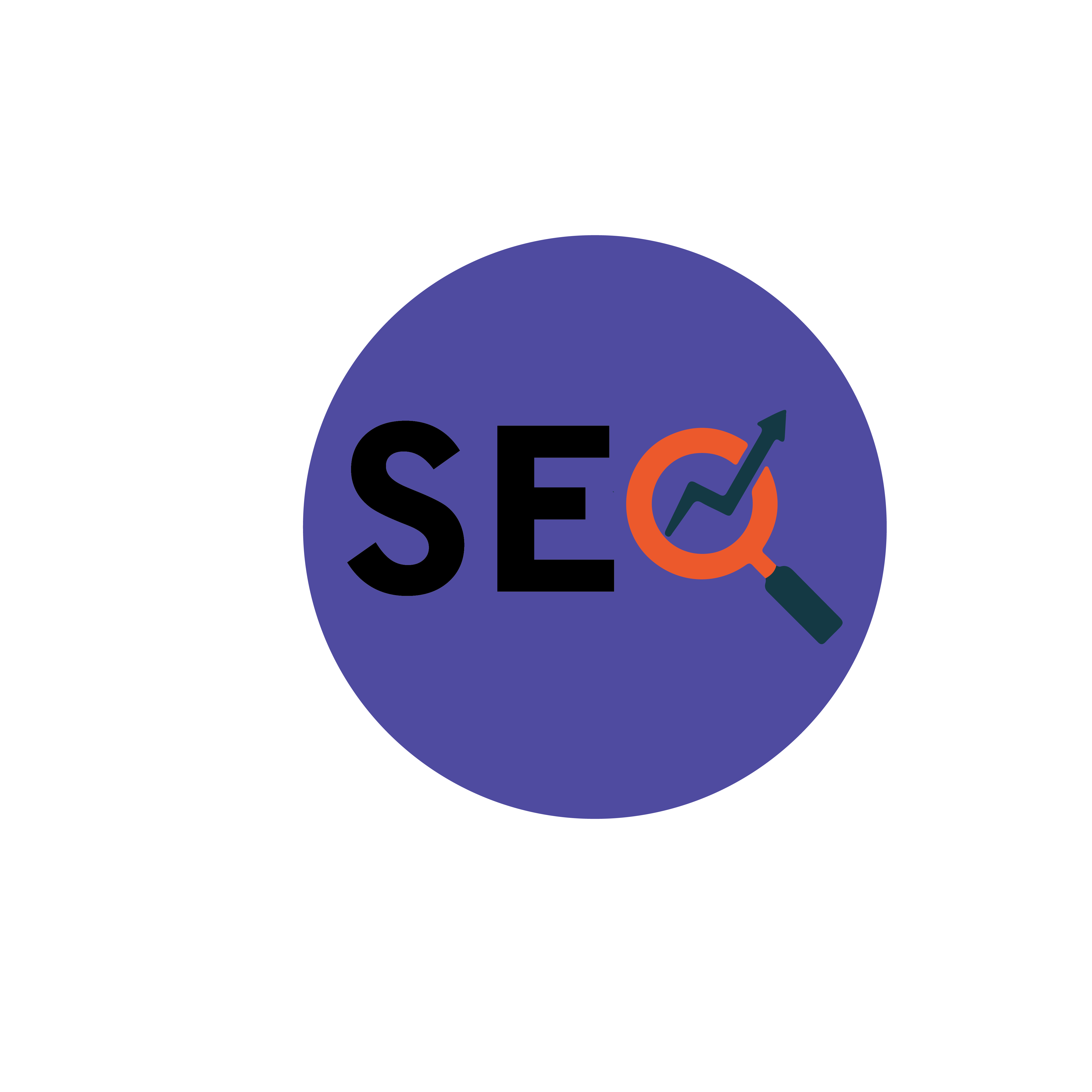 Our team consists of best eCommerce SEO experts in Pune | Digital Arise